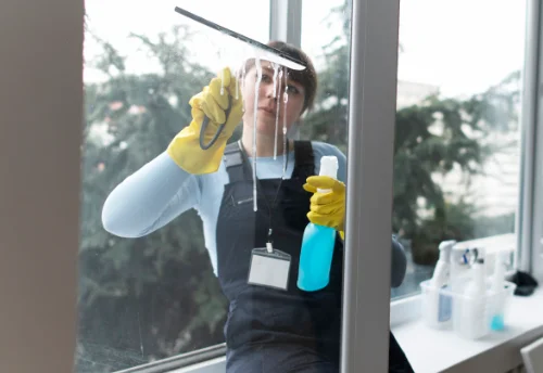 Nettoyage de vitres intérieures et extérieures à Montriond